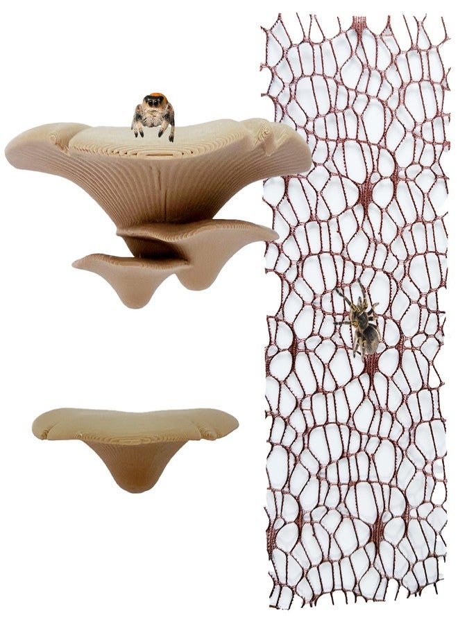 Heyshapeing Jumping Spider Hide Habitat Accessories, Magnetic Mushroom Shelf & Moss Ribbon Web, Climbing and Feeding Platforms for Jumping Spiders, Mantises, Tarantulas, Invertebrates, 3-Pack (Beige) - Image 1